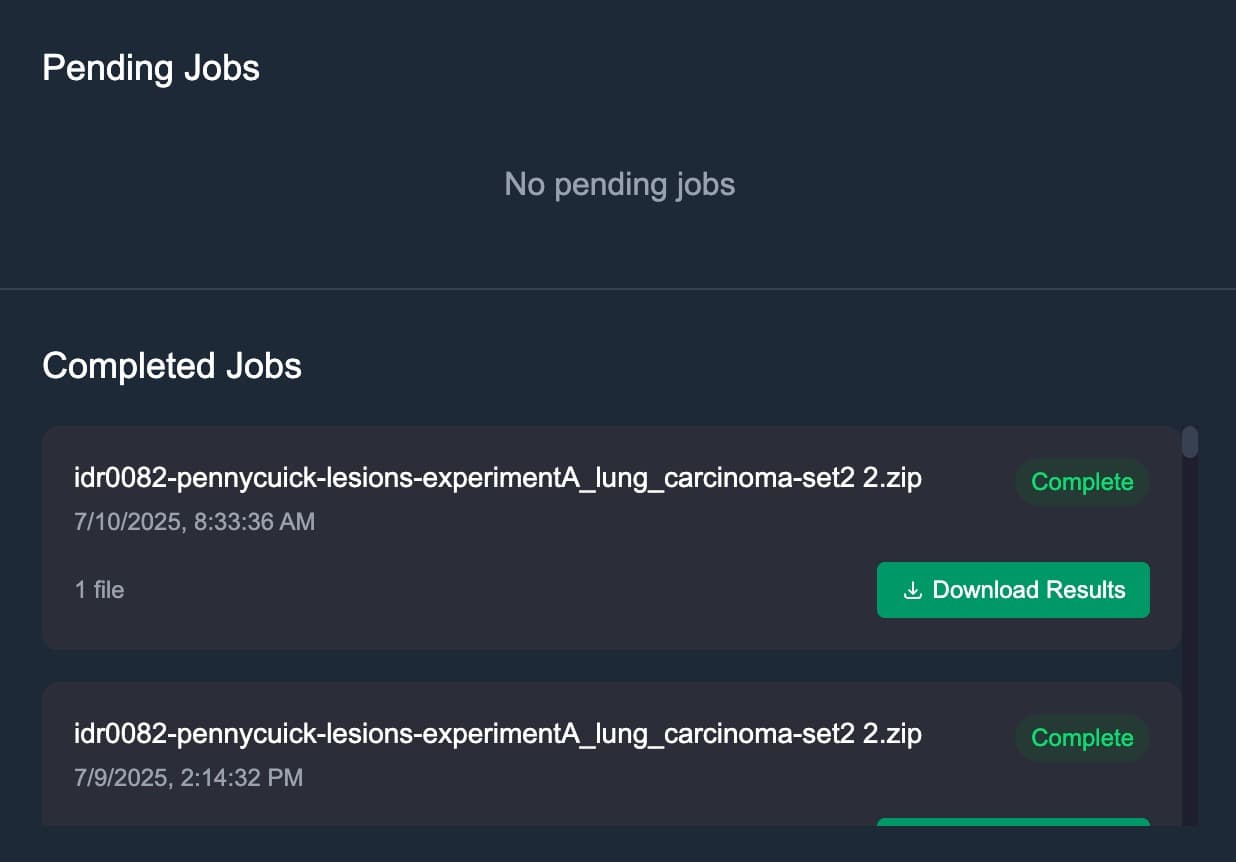 Automated Segmentation