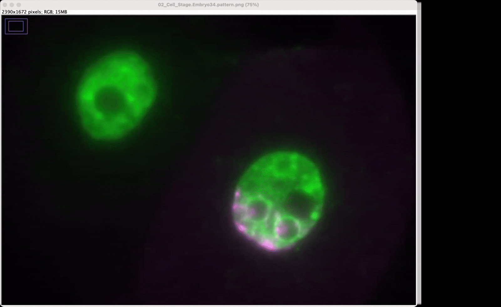 View and Edit your .roi files